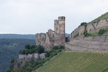 Fototapeta premium Burgruine Ehrenfels bei Rüdesheim, Deutschland