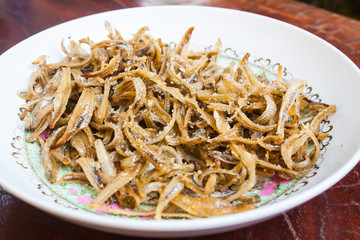 Minnow Fish
