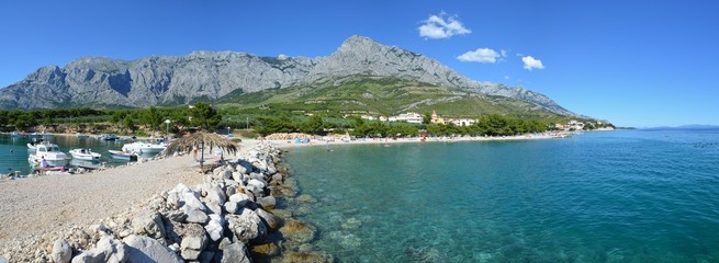 Fototapeta premium Promajna