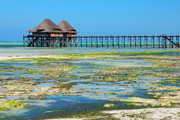 Tropical beach, Zanzibar island