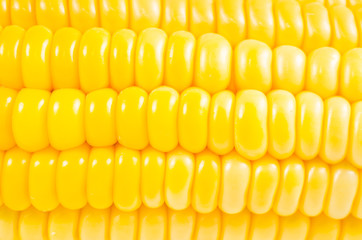background of  yellow fresh corn texture
