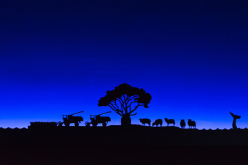 nero e blu © Riccardo Meloni