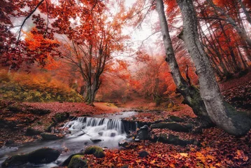 Zelfklevend Fotobehang Mystical autumn beech  forest with lots of red fallen leaves and a small mountain creek with a bridge. © Vlad Sokolovsky