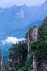 Mountain landscape of Zhangjiajie national park,China