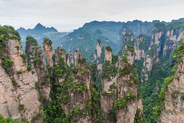 Mountain landscape of Zhangjiajie national park,China