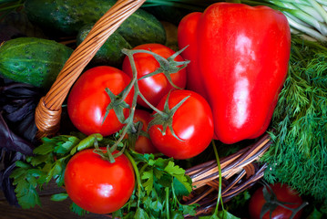 Fresh vegetables in the basket