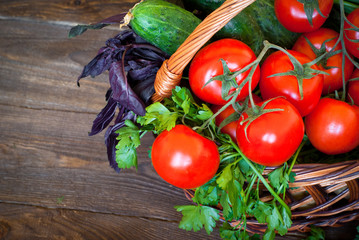 Fresh vegetables in the basket