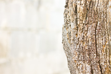 Wood