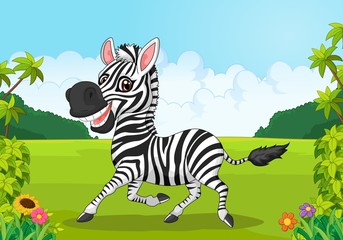 Cartoon adorable zebra  © tigatelu