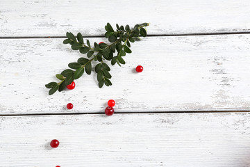 Naklejka na ściany i meble Twig with cranberries on the boards