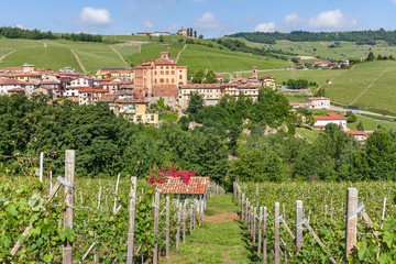 Fototapeta na wymiar Small town of barolo and vineyards in Italy.