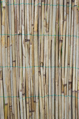 Sichtschutz aus Bambus