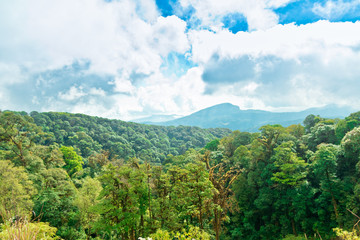 Fototapeta premium mountain landscape