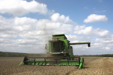 Obraz premium Moisson