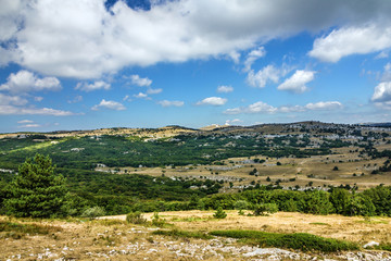 Fototapeta na wymiar Green hills landscape. Mountain Ai-Petri, Crimea, Russia