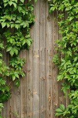 Old wooden wall covered with ivy copyspace