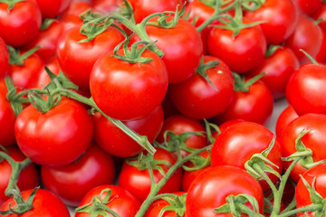 many tomatoes on market closeup