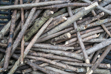 Sicks and twigs, dry twigs,wood
