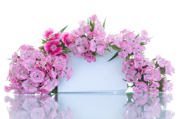 Fototapeta na wymiar bright bouquet of carnations
