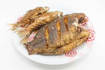 Deep fried Tilapia and Carp on white background.