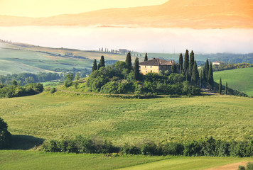 Typical Tuscan landscape. Italy - 84663943