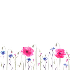 Pink poppies and cornflowers. Seamless ornament.