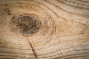 wood texture background