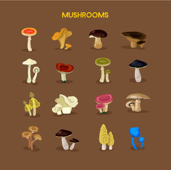 Mushrooms flat icon set