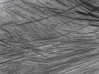 scratched wood texture