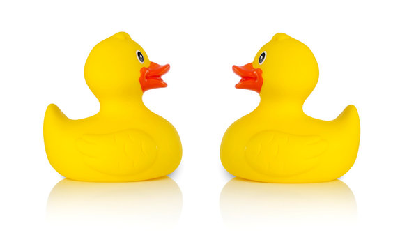 Rubber ducks facing one another