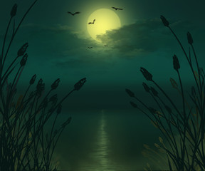 Fototapeta na wymiar Dark night with reed close up on full moon river background illustration.