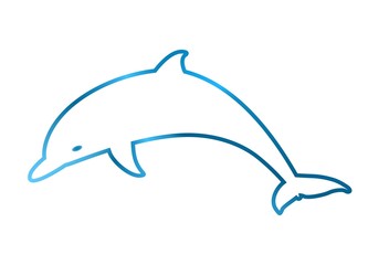 Two-tone blue jumping dolphin