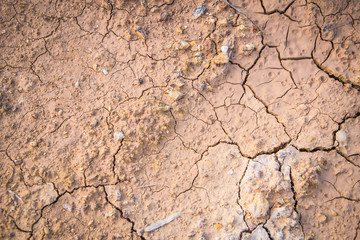 laterite soil