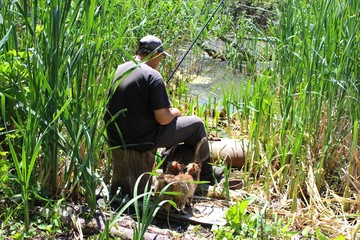 Рыбак рыбачит в окружении кошек © Roman TINIAKOV
