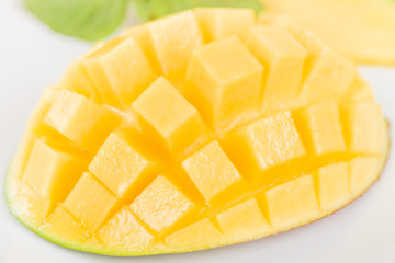 Mango - Hedgehog style cut ripe mango half on a white background.
