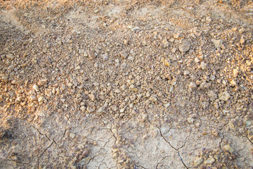 laterite soil