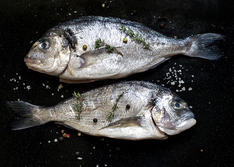 Fresh fish gilt-head bream dorade with salt and pepper