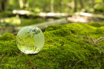 Obraz na płótnie Canvas 森林と透明な地球儀