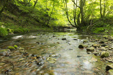 黒岳を流れる川