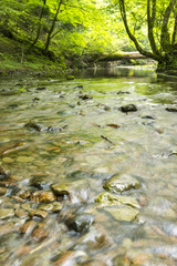 黒岳を流れる川