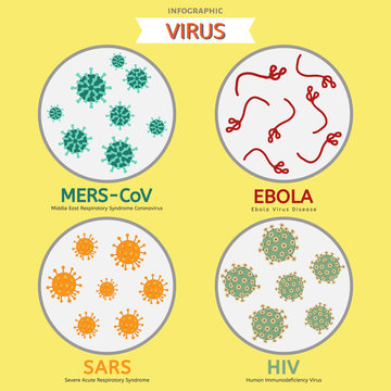 Mers-Cov Ebola Sars HIV virus ingo graphic vector