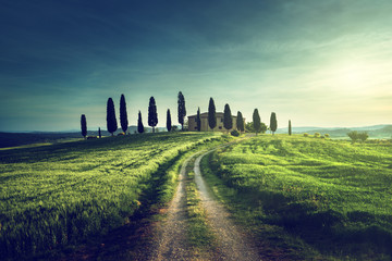 Classic Tuscan views in spring sunset time,  Pienza, Italy