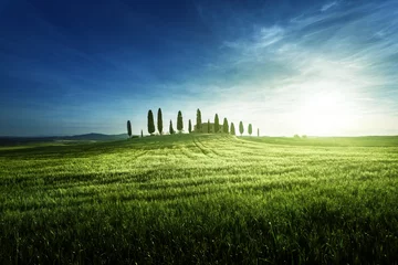 Klassische toskanische Ansichten im Frühling Sonnenuntergang, Pienza, Italien © Iakov Kalinin