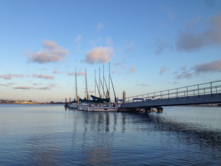 sailboats docked in bay