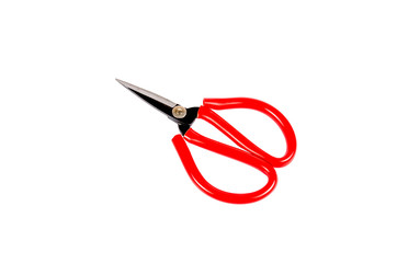 Red scissor isolated on white background