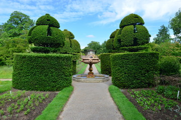 A burnt out English country estate and gardens in June 2015
