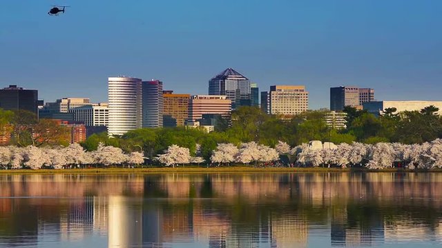 Arlington, Virginia, USA skyline viewed from the Washington DC Tidal Basin during the spring season.