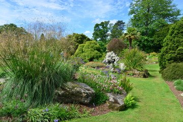 A burnt out English country estate and gardens in June 2015