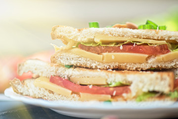 Cheese sandwich