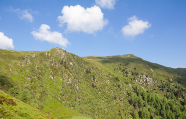 Fototapeta na wymiar View To Top Of Mt. Mirnock 2.110m